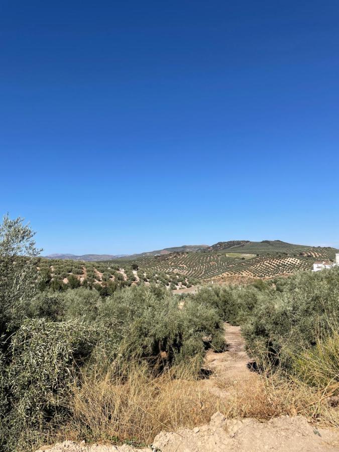 Lafrenchtouch - Escapada Rural En Una Coqueta Casa Villanueva de Tapia Εξωτερικό φωτογραφία